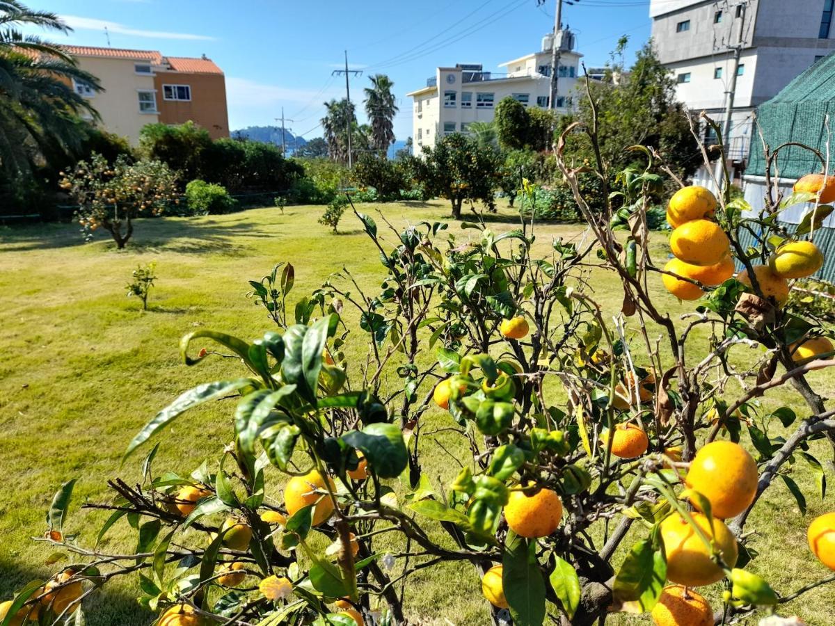 סאוגוויפו Haeansung Pension מראה חיצוני תמונה